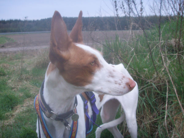 2008 - 2011 215.jpg