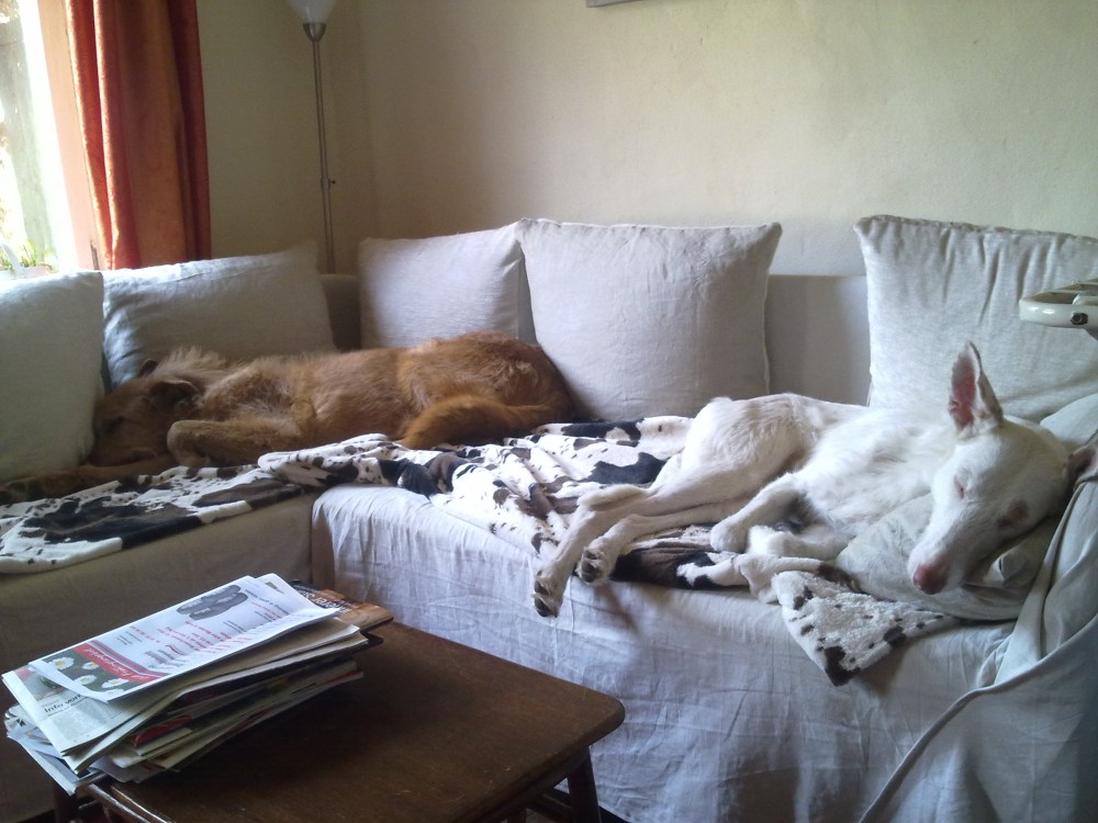 270320123388.jpg