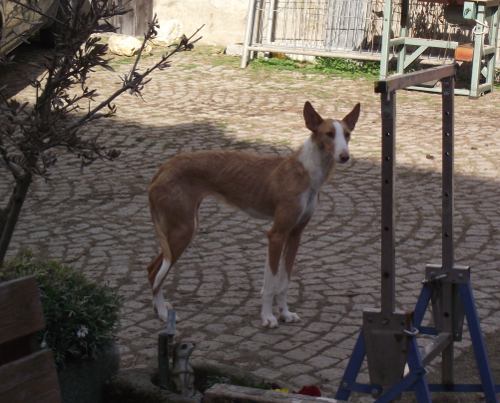 DSCF0638.JPG