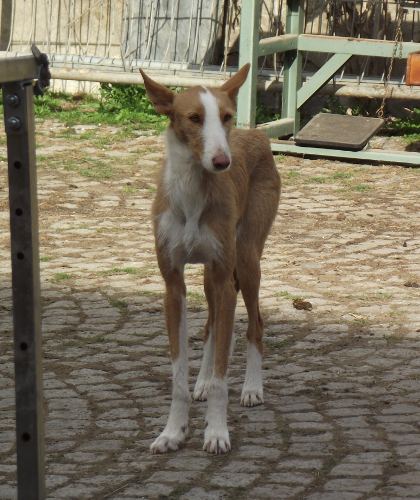 DSCF0645.JPG