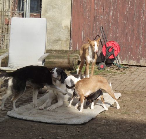 DSCF0646.JPG