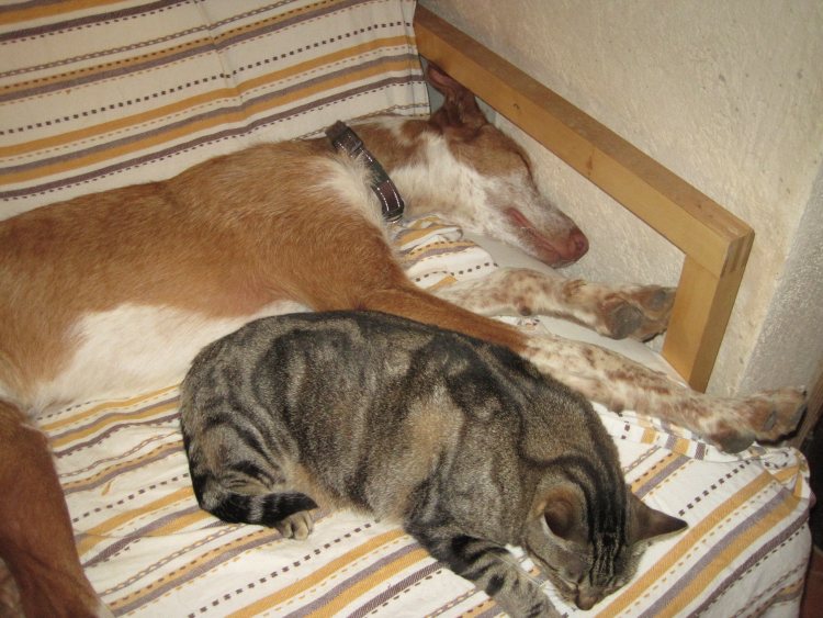 Mücke + Paula.jpg
