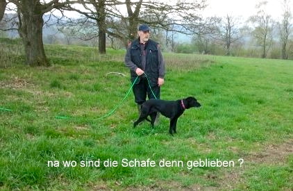 Bild.jpg