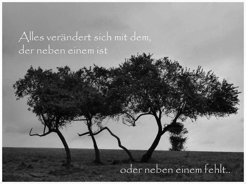 Kopie von Trauer.jpg