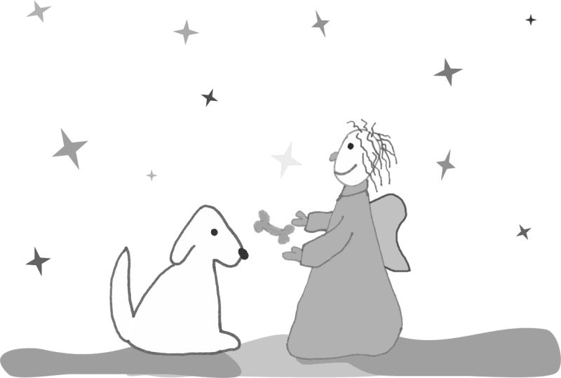 Hundehimmel.jpg