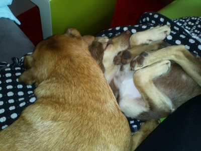 Lola und Michel.jpg