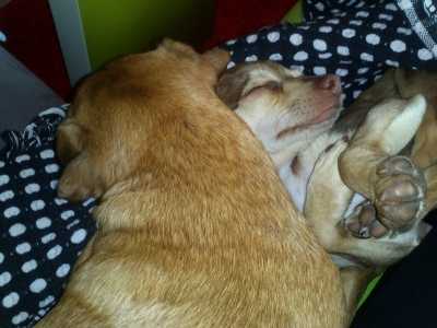 Lola und Michel 2.jpg