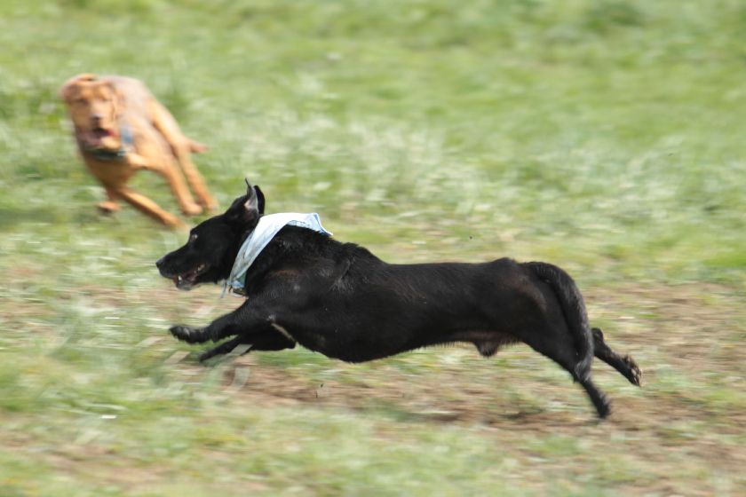 700_IMG_5674.jpg