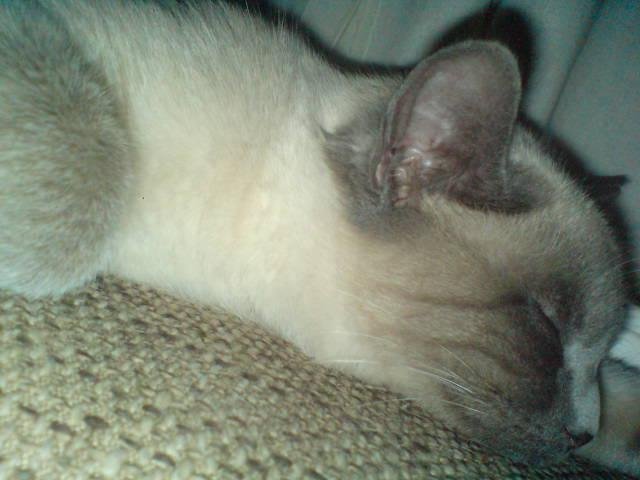 DSC00209.jpg