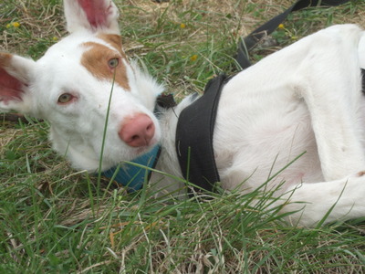 DSCF9257.JPG