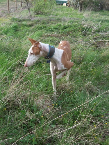 DSCF9269.JPG