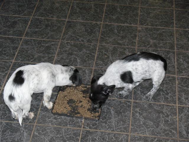 P1030126 (Small).JPG