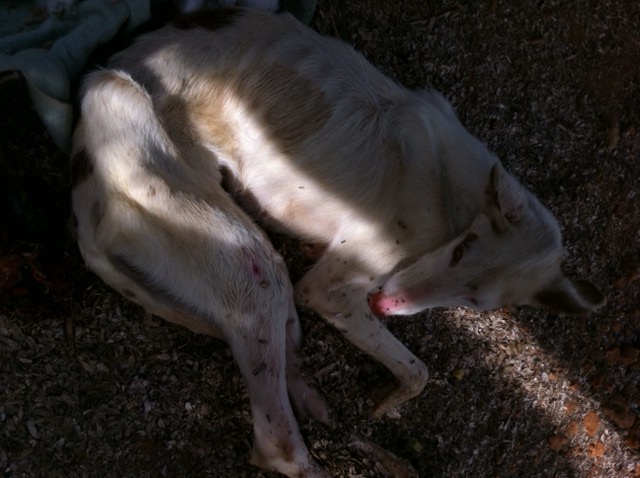 Foto 2.JPG