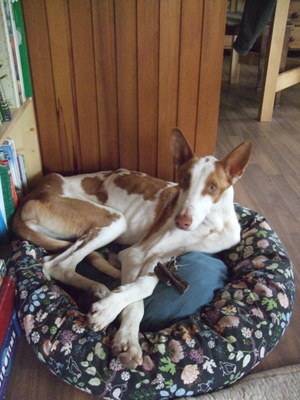 DSCF9374.JPG