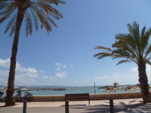 P1000845_sm_Can_Pastillia.jpg