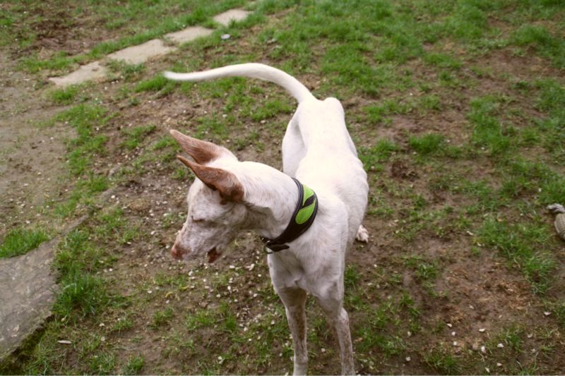 BeFunky_IMG_5002.jpg
