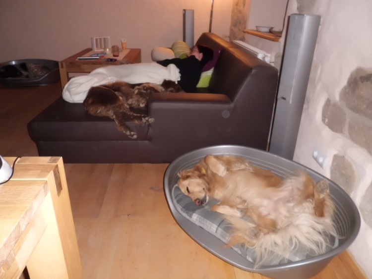 Schläfer.jpg