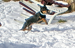 IMGP0705.jpg