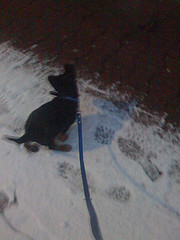 schnee.jpg