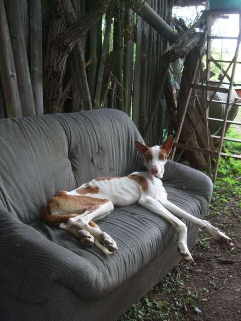 DSCF9416-001.JPG