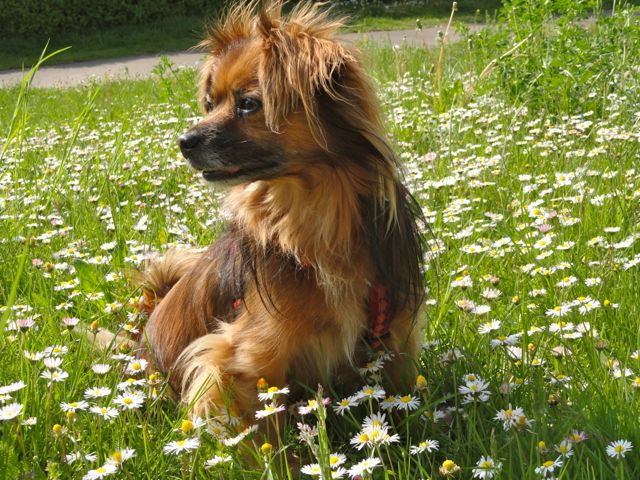Bild 2.jpg