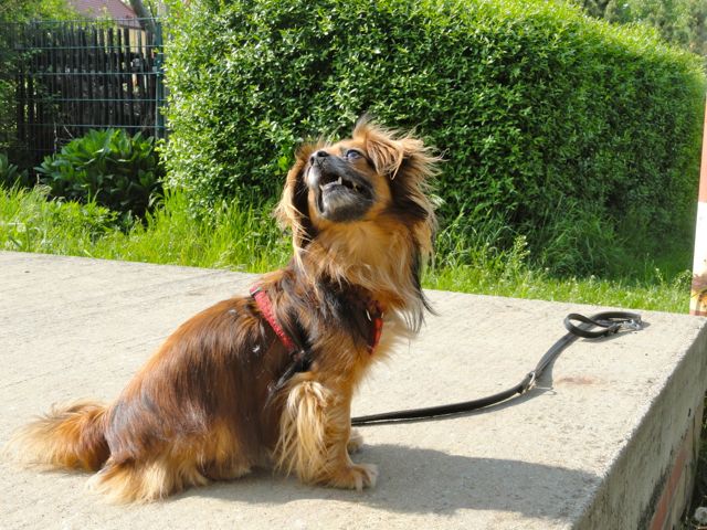 Bild 3.jpg