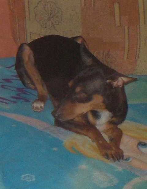 K640_Lilly - Angst.JPG