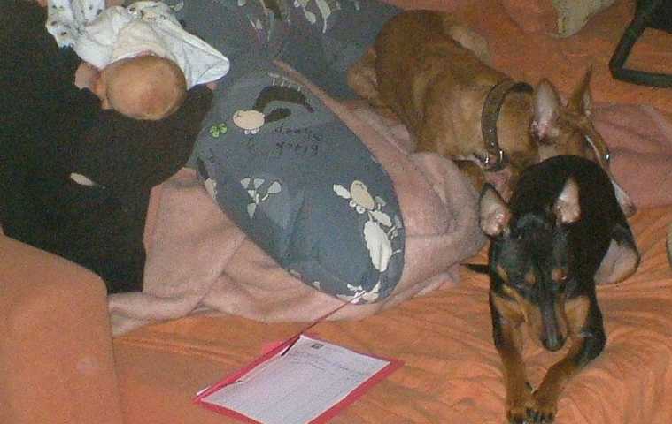 K640_Lilly- Tag 2.JPG
