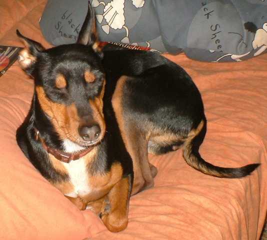 K640_Lilly- last.JPG