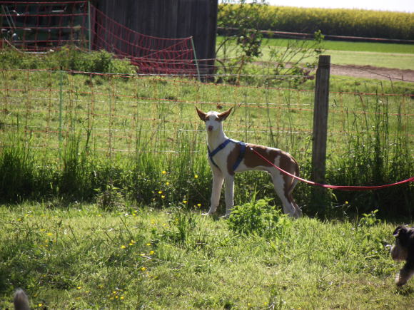 DSCF1053.JPG