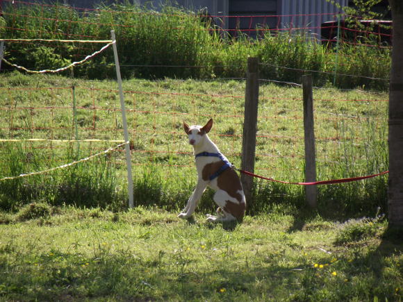 DSCF1057.JPG