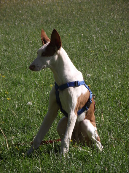 DSCF1071.JPG