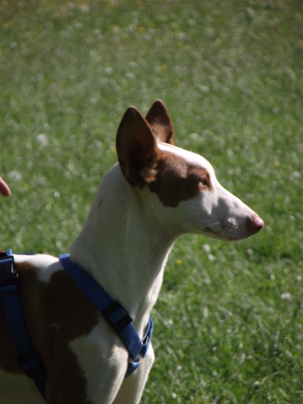 DSCF1077.JPG