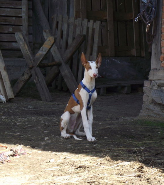 DSCF1091.JPG