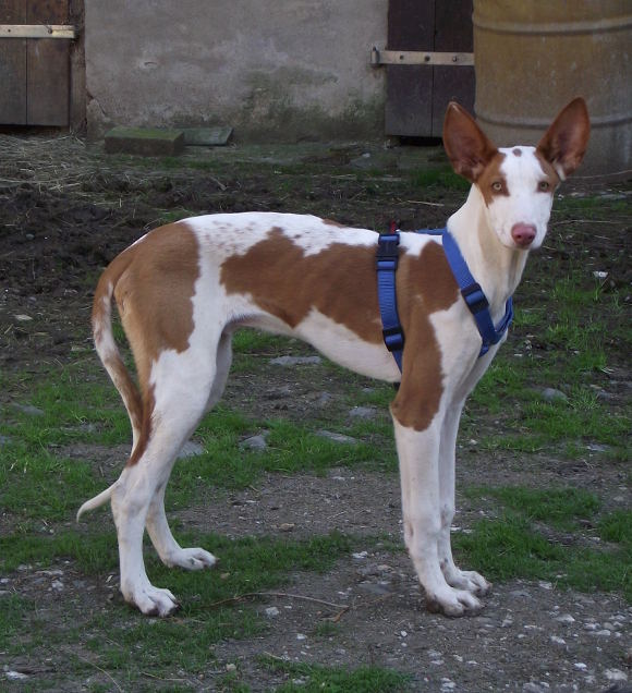 DSCF1108.JPG