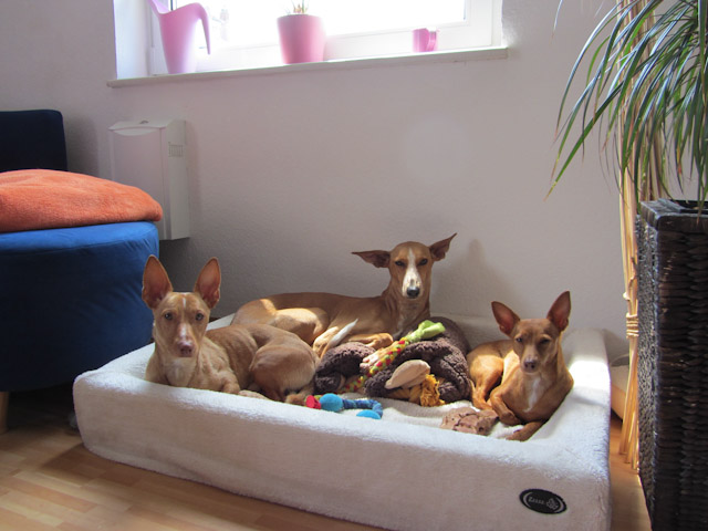 Ximmy_2012_05_19551.jpg