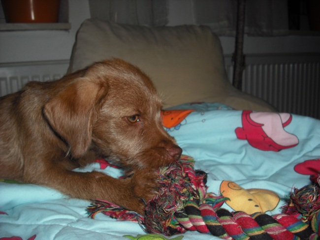 20. 05. 12 (41)klein.jpg