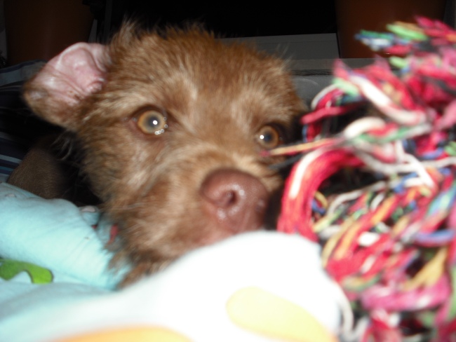 20. 05. 12 (48)klein.jpg