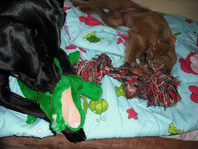 20. 05. 12 (56)klein.jpg