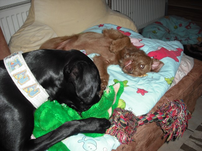 20. 05. 12 (58)klein.jpg