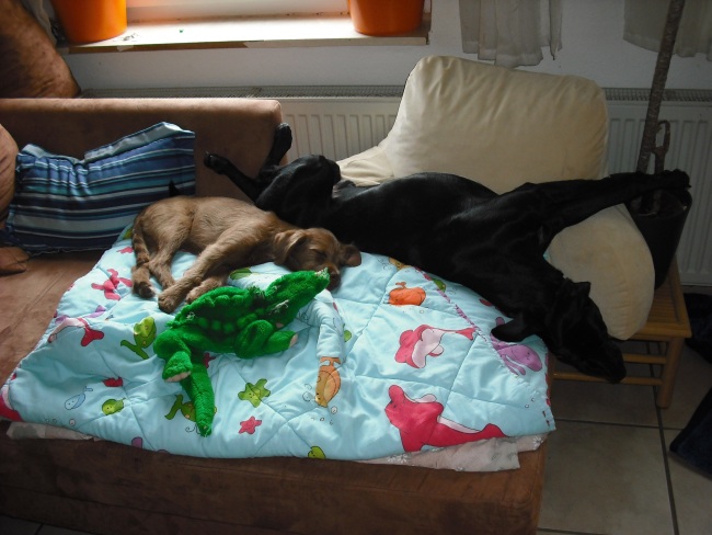 21. 05. 12 (1)klein.jpg