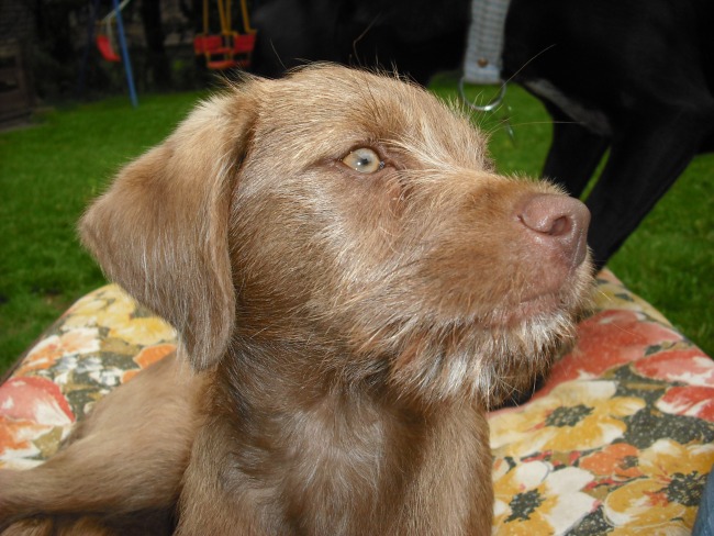 21. 05. 12 (3)klein.jpg