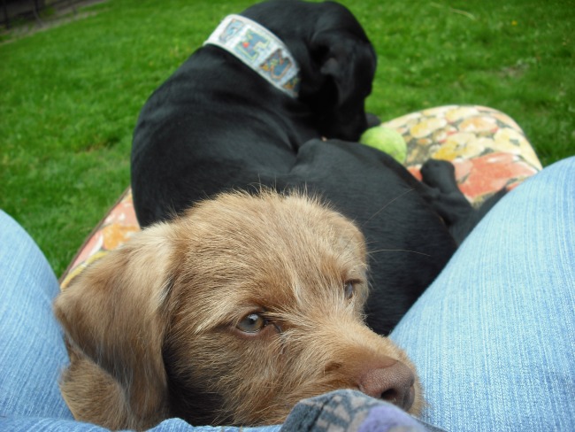 21. 05. 12 (6)klein.jpg