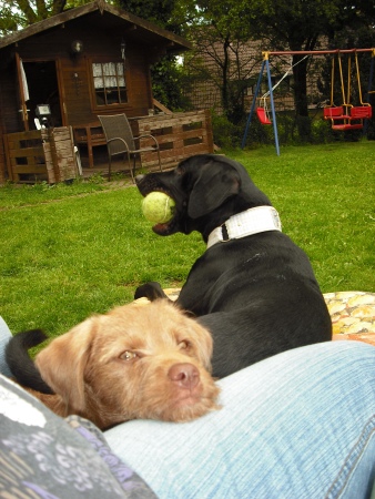 21. 05. 12 (10)klein.jpg