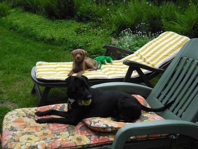 21. 05. 12 (12)klein.jpg