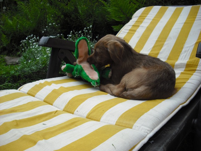 21. 05. 12 (15)klein.jpg