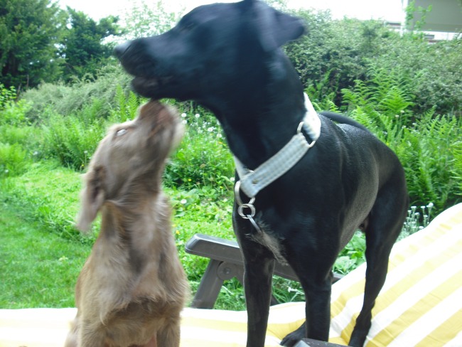 21. 05. 12 (26)klein.jpg