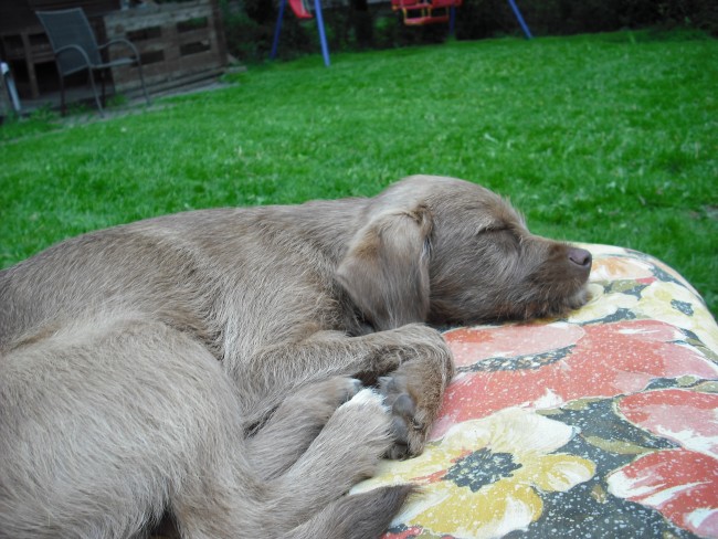 21. 05. 12 (33)klein.jpg