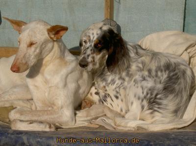 Grace und Chanel.jpg