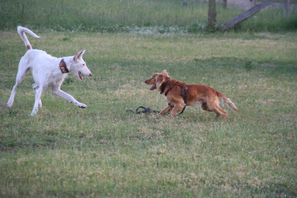 mai_2_12_ 084.jpg